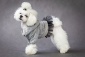 Bluza Girlfriend Lublin - BY LUIGI Luksusowe ubranka dla psów