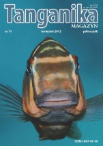Tanganika MAGAZYN  Nr 11, 12, 13, 14 - Tropheus Robert Mierzeński Kraków