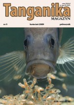 Tanganika MAGAZYN Nr 4, 5, 6, 7, 8, 9 - Tropheus Robert Mierzeński Kraków