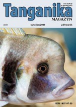 Tanganika MAGAZYN Nr 3 - Tropheus Robert Mierzeński Kraków