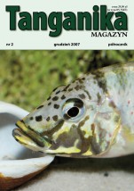 Tanganika MAGAZYN Nr 2 - Tropheus Robert Mierzeński Kraków