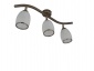 Lampa sufitowa 3-ka Bydgoszcz - ŚWIETLIK