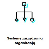 Wdrażanie systemów zarządzania - BizzThink sp. z o.o. Katowice