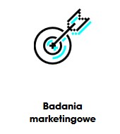 Badania Marketingowe - BizzThink sp. z o.o. Katowice