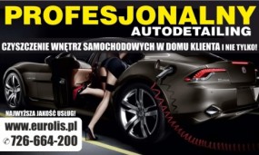 Czyszczenie wnętrz samochodowych autodetailing - EUROLIS Profesjonalne Usługi Czystościowo - Porządkowe Szówsko