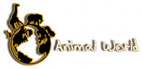 Internetowy sklep zoologiczny - Paweł Cerbin ANIMAL WORLD Rokietnica