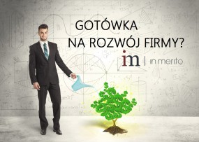 Kredyt Fimowy - IN MERITO Krzysztof Budynkiewicz Chojna