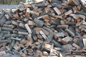 Drewno kominkowe- różne rodzaje - BARTDREW Drewno Kominkowe Zgierz