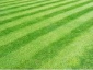 Rzeszów Zakładanie trawników z siewu i z rolki - KOPGARDEN
