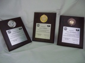 Dyplomy, trofea sportowe - Agencja Reklamowa Neovision Gniezno