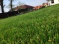 Strzyżenie trawników Pielęgnacja zieleni - Chojnów Vertical Studio Architektury Krajobrazu