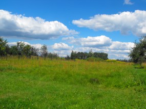 Wycena działek - gruntów niezabudowanych - Kamil Seweryn Property Wycena Nieruchomości Sosnowiec