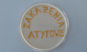 zakażenia atypowe - MICROFAM Laboratorium Mikrobiologiczne, badania mikrobiologiczne Wrocław