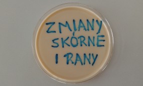 zmiany skórne i rany - MICROFAM Laboratorium Mikrobiologiczne, badania mikrobiologiczne Wrocław