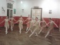 Nauka baletu - Studio Baletowe  Terpsychora  Katowice
