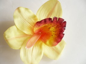 Orchidea - storczyk - Firma Handlowa  Klips  - ozdoby do włosów, biżuteria sztuczna Gdynia