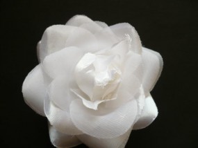 Kwiat biały - Firma Handlowa  Klips  - ozdoby do włosów, biżuteria sztuczna Gdynia