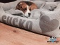 Beds4Dogs – legowiska dla psów Gliwice - Legowiska dla psów z imieniem