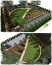 Projekty ogrodów Projekty ogrodów przydomowych - Konin TRANS-GAJ Centrum ogrodnicze i florystyczne