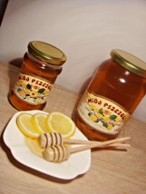 Miód mniszkowy - P.P.H. WOX Baćkowice