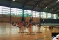 Stalowa Wola SportStal Szkoła Akrobatyki Sportowej - Akrobatyka dziecięca
