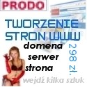 Wykonanie strony internetowej w super cenie 298 zł. - Prodo - Agencja Reklamowo Informatyczna Poznań