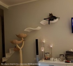 Fala-mini - Szary Design - meble dla kotów Blachownia