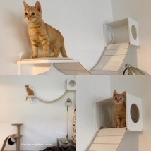 Park Linowy - Szary Design - meble dla kotów Blachownia