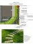 Projekty i wizualizacje terenów zieleni Projekty ogrodów - Sosnowiec ZDROWY OGRÓD - projektowanie, zakładanie, pielęgnacja