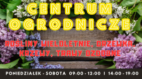 Rośliny wieloletnie Iława - Centrum Ogrodnicze Iława Rolna 7
