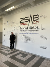 druk scienny - Walljee druk ścienny Kraków