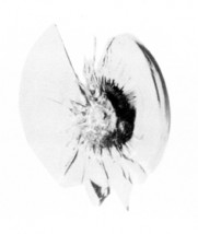 naprawa szyb samochodowych - Auto szyby Sanok i montaż haków Panorama Marcin Kopiec Sanok