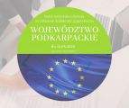 Jednoosobowa działalność gospodarcza - 30