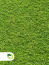 Trawy Trawa z rolki - Bełchatów PPHU Marix