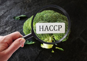 Nadzór HACCP - Jagoda Jurkowska - Usługi bhp i ppoż; Usługi przewodnickie Szczawnica