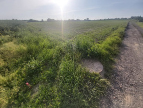 Pośrednictwo sprzedaży działek budowlanych - Małopolskie Nieruchomości Jadwiga Malara Kraków