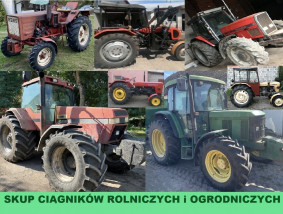 SKUP CIĄGNIKÓW ROLNICZYCH (traktorów) - TRABOR Skup samochodów ciężarowych, skup ciagników siodłowych Halinów