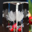 Białystok Róża 3D » Kwiat Miłości « to oryginalny pomysł na prezent urodzinowy - Statuetki 3D • Kryształy3D.pl • KSK Anna Sawoń