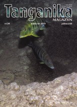Tanganika MAGAZYN Nr 24 - Tropheus Robert Mierzeński Kraków