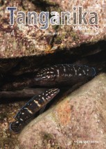 Tanganika MAGAZYN Nr 22 - Tropheus Robert Mierzeński Kraków