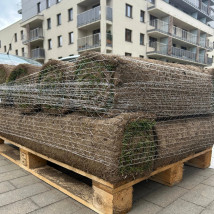 Trawa z rolki - Seedly - Trawa z rolki Białystok