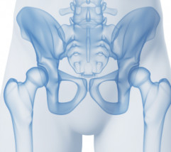 Rehabilitacja uroginekologiczna - KLINIKA HB Warszawa - Fizjoterapia bólu miednicy - Uroginekologia kobiet i mężczyzn Warszawa