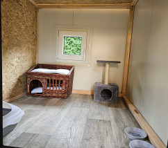 Pokoik - Kocia Laba hotel dla kotów Beata Zemanek Mazańcowice