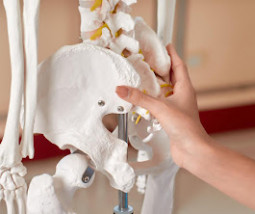 Uroginekologia - Synergia Centrum Żary - Fizjoterapia - Rehabilitacja - Masaż Żary