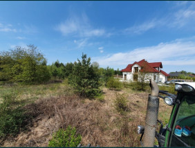 Przywracanie gruntów do użytku ,Karczowanie,Mulczowanie wgłębne - Shark&Mulcz Grodzisk Wielkopolski