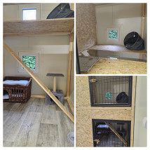 Pokoik - Kocia Laba hotel dla kotów Beata Zemanek Mazańcowice