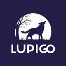 Marketing Online - LUPIGO Bartosz Groszek Rzeszów