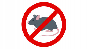 Zwalczanie myszy - FeRobale - Usługi DDD - Dezynfekcja, Dezynsekcja, Deratyzacja Imielin
