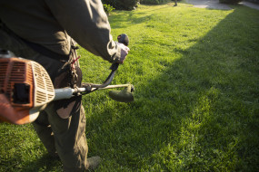Koszenie trawników w Wolbromiu – wybierz Usługi Ogrodnicze Dąb - Sebastian Szulak Usługi Ogrodnicze DĄB Wolbrom