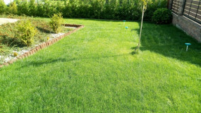 Zakładanie i pielęgnacja trawników - Fantastyczne Ogrody Kompleksowe Zakładanie Ogrodów Wejherowo